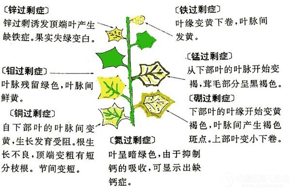 1705456634526275.jpg 3.jpg