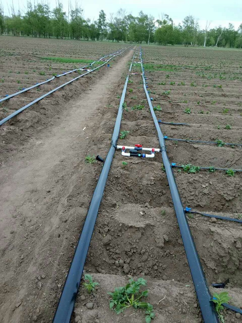 1705462935562683.jpg