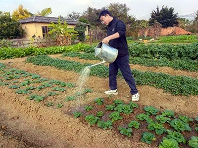 滬滇攜手，微生(sheng)物(wù)菌劑開啓農...