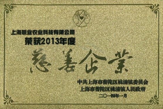 2013年(nian)度慈善(shan)齊(qi)業